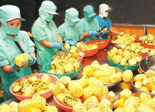 促进越南和中国在新冠肺炎疫情期间的农产品贸易活动
